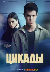 Цикады (1 сезон) смотреть онлайн Лордфильм онлайн
